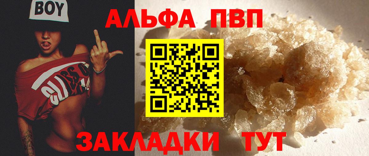 Альфа ПВП СК Новокубанск