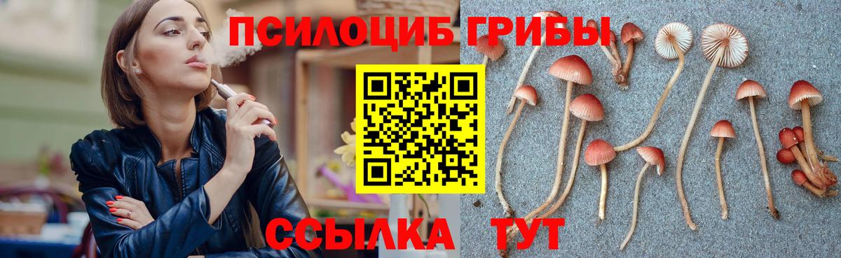 Галлюциногенные грибы GOLDEN TEACHER Новокубанск