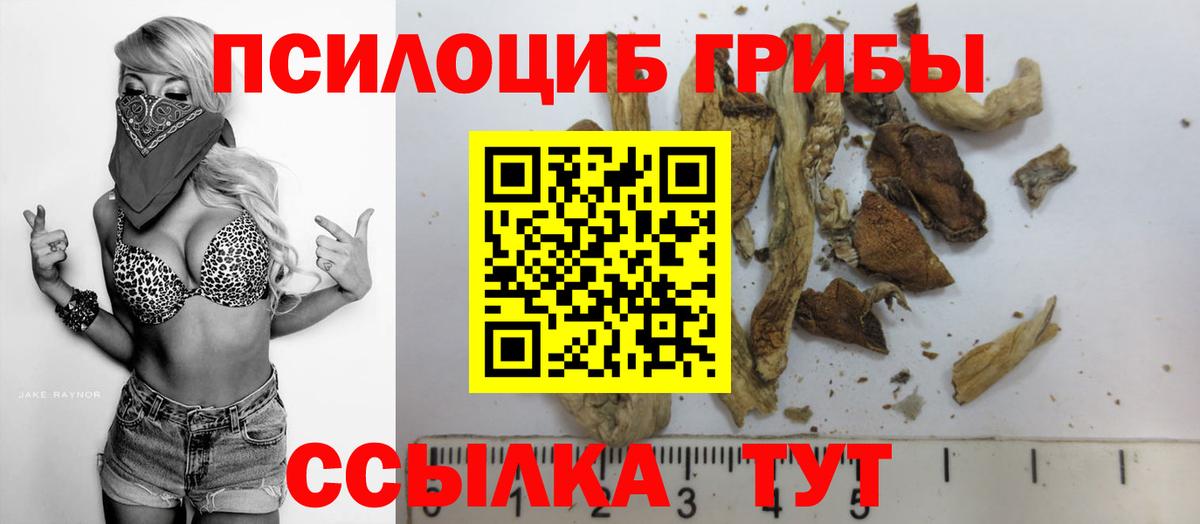 Галлюциногенные грибы Magic Shrooms  Вход с VPN  Псилоцибиновые грибы MAGIC MUSHROOMS  Новокубанск 